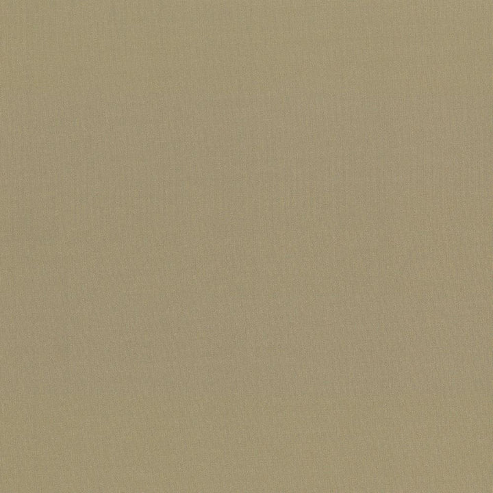 Seductive Antique by Kasmir Designer Fabric 5052 100% Polyester
 INDIA </p><p>Repeat: Horizontal: N/A and Vertical: N/A 53 - Swanky Fabrics -