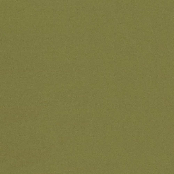 Seductive Cedar by Kasmir Designer Fabric See sample 100% Polyester
 INDIA 6,000 Wyzenbeek Double Rubs </p><p>Repeat: Horizontal: N/A and Vertical: N/A 53 - Swanky Fabrics -