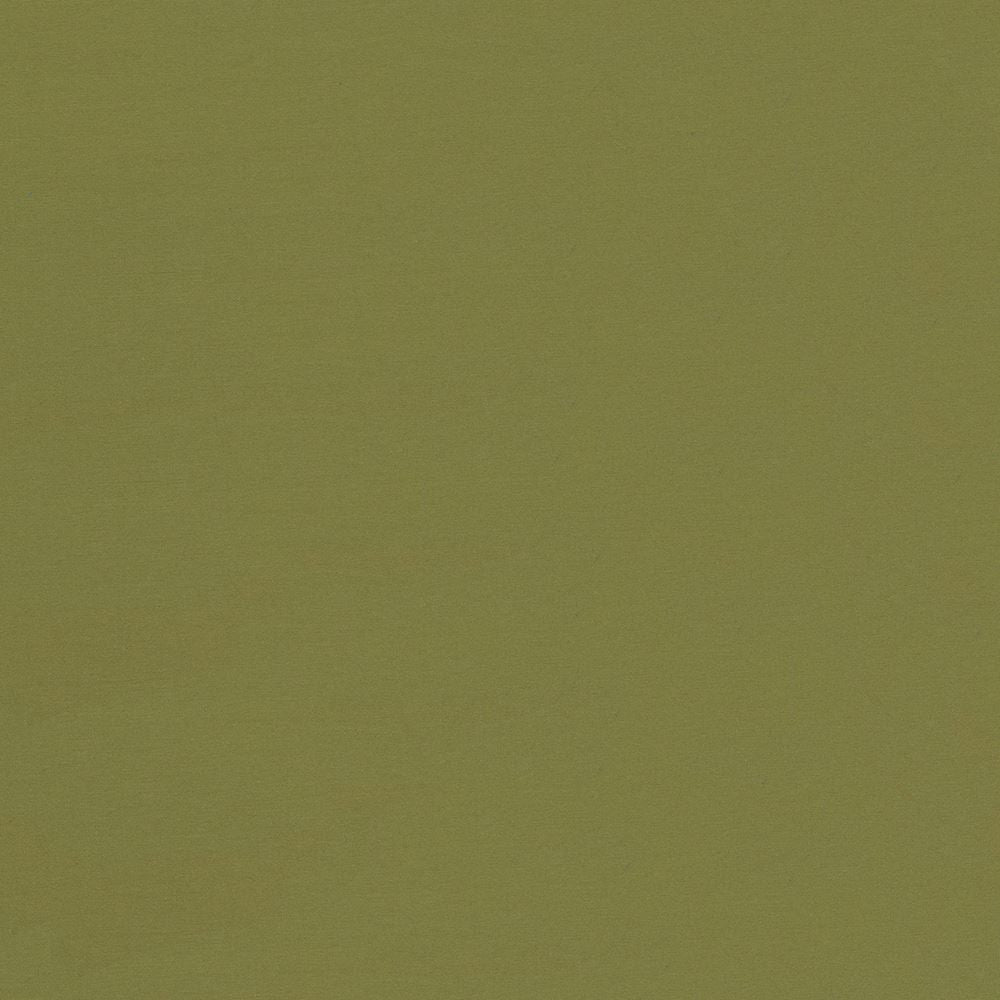 Seductive Cedar by Kasmir Designer Fabric 5052 100% Polyester
 INDIA </p><p>Repeat: Horizontal: N/A and Vertical: N/A 53 - Swanky Fabrics -
