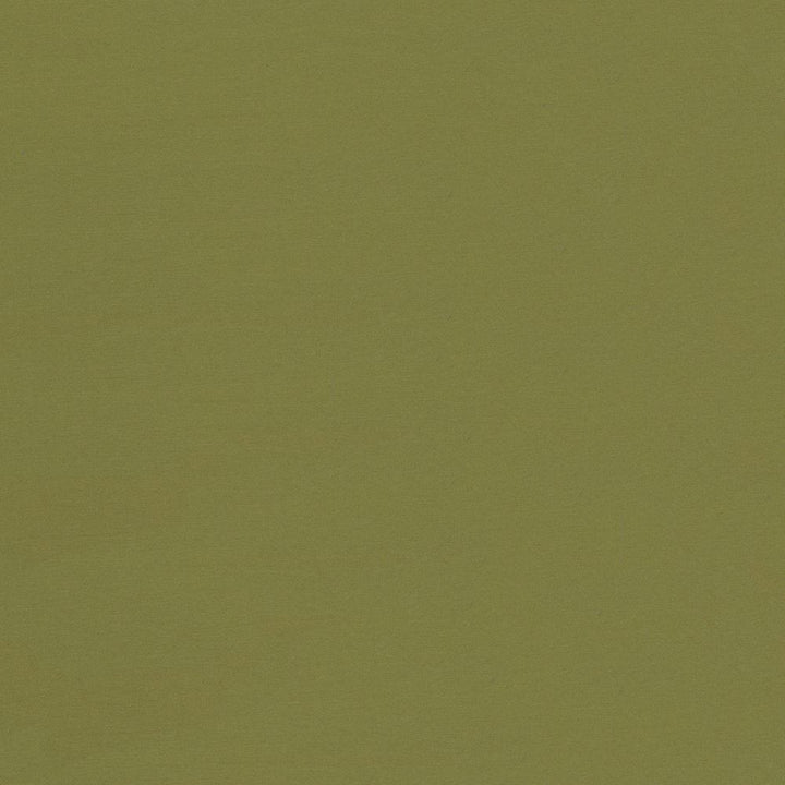 Seductive Cedar by Kasmir Designer Fabric 5052 100% Polyester
 INDIA </p><p>Repeat: Horizontal: N/A and Vertical: N/A 53 - Swanky Fabrics -