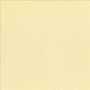 Seductive Citron by Kasmir Designer Fabric 5052 100% Polyester INDIA 6,000 Wyzenbeek Double Rubs H: N/A, V: N/A 53 - Swanky Fabrics - Kasmir