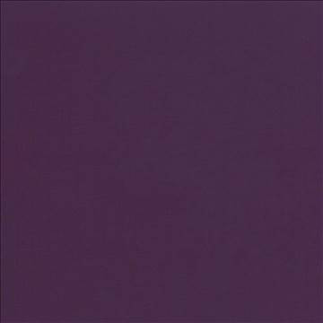 Seductive Eggplant by Kasmir Designer Fabric 5052 100% Polyester INDIA 6,000 Wyzenbeek Double Rubs H: N/A, V: N/A 53 - Swanky Fabrics - Kasmir
