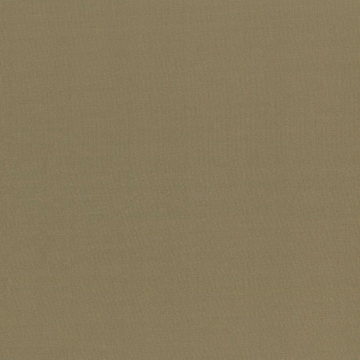 Seductive Herb by Kasmir Designer Fabric 5052 100% Polyester
 INDIA </p><p>Repeat: Horizontal: N/A and Vertical: N/A 53 - Swanky Fabrics -