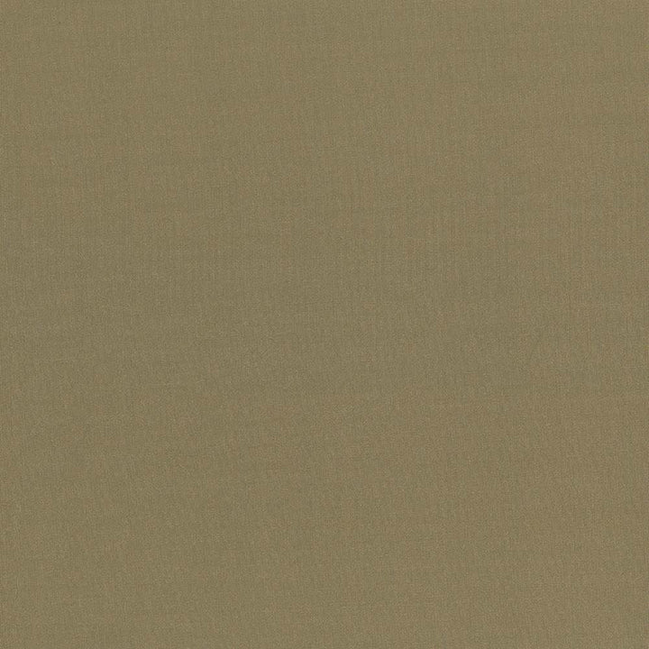 Seductive Herb by Kasmir Designer Fabric 5052 100% Polyester INDIA 6,000 Wyzenbeek Double Rubs Horizontal: 0 Inches and Vertical: 0 Inches 53 - Swanky Fabrics -