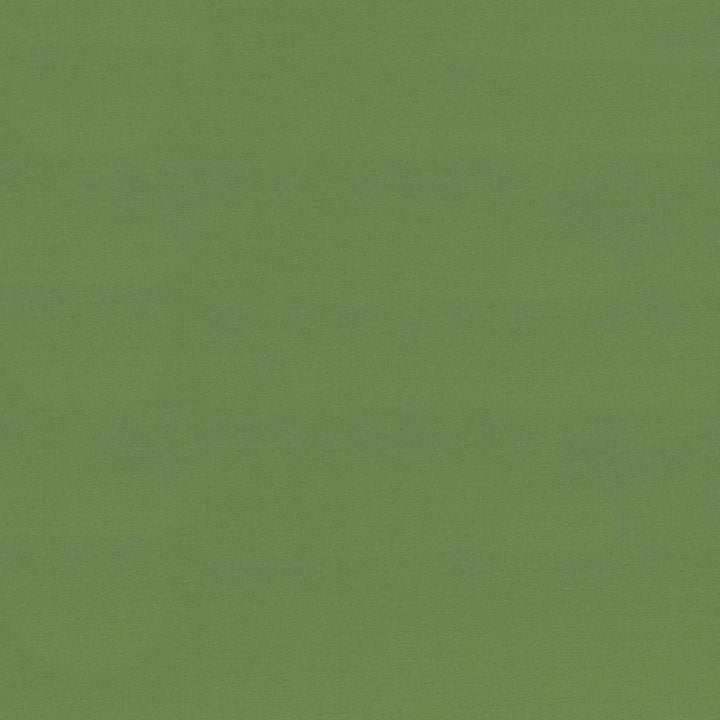 Seductive Jade by Kasmir Designer Fabric 5052 100% Polyester
 INDIA </p><p>Repeat: Horizontal: N/A and Vertical: N/A 53 - Swanky Fabrics -