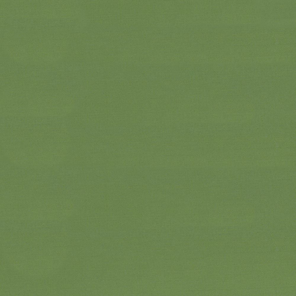 Seductive Jade by Kasmir Designer Fabric 5052 100% Polyester
 INDIA </p><p>Repeat: Horizontal: N/A and Vertical: N/A 53 - Swanky Fabrics -