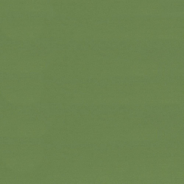 Seductive Jade by Kasmir Designer Fabric 5052 100% Polyester
 INDIA 6,000 Wyzenbeek Double Rubs </p><p>Repeat: Horizontal: N/A and Vertical: N/A 53 - Swanky Fabrics -