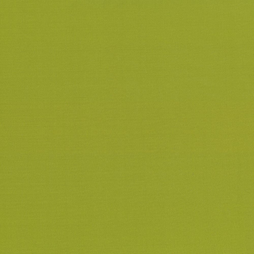 Seductive Kiwi by Kasmir Designer Fabric 5052 100% Polyester
 INDIA </p><p>Repeat: Horizontal: N/A and Vertical: N/A 53 - Swanky Fabrics -