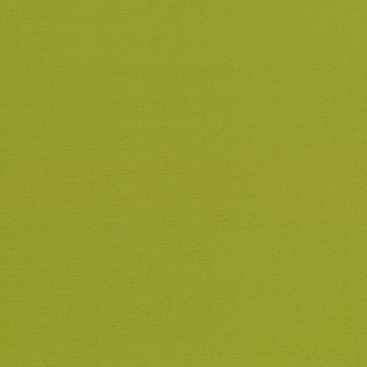 Seductive Kiwi by Kasmir Designer Fabric 5052 100% Polyester
 INDIA </p><p>Repeat: Horizontal: N/A and Vertical: N/A 53 - Swanky Fabrics -