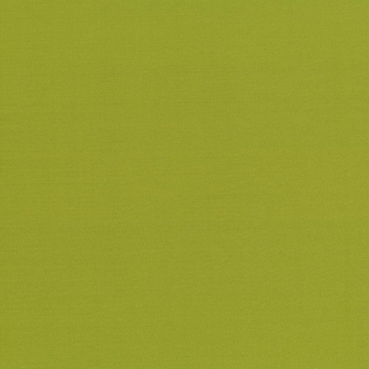 Seductive Kiwi  by Kasmir Designer Fabric 5052 100% Polyester
 INDIA 6,000 Wyzenbeek Double Rubs Horizontal: N/A and Vertical: N/A 53  - Swanky Fabrics -