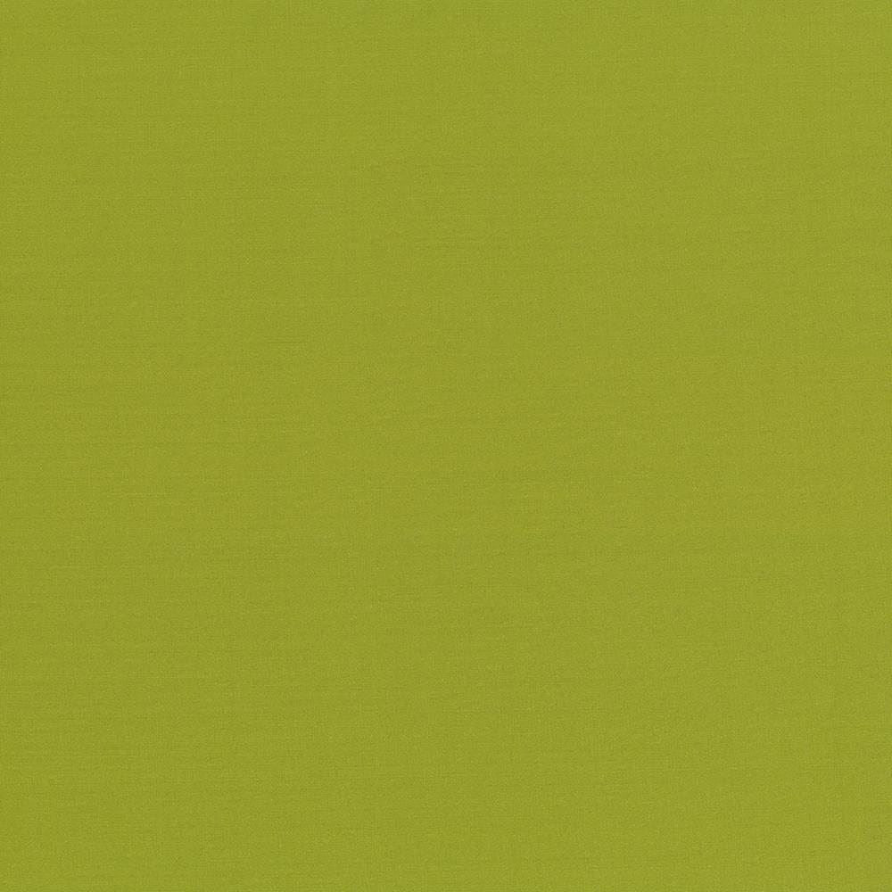 Seductive Kiwi by Kasmir Designer Fabric See sample 100% Polyester
 INDIA 6,000 Wyzenbeek Double Rubs </p><p>Repeat: Horizontal: N/A and Vertical: N/A 53 - Swanky Fabrics -