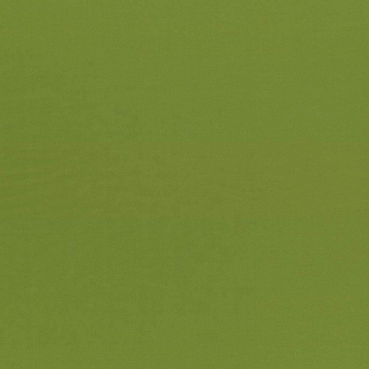 Seductive Olive by Kasmir Designer Fabric 5052 100% Polyester
 INDIA 6,000 Wyzenbeek Double Rubs </p><p>Repeat: Horizontal: N/A and Vertical: N/A 53 - Swanky Fabrics -