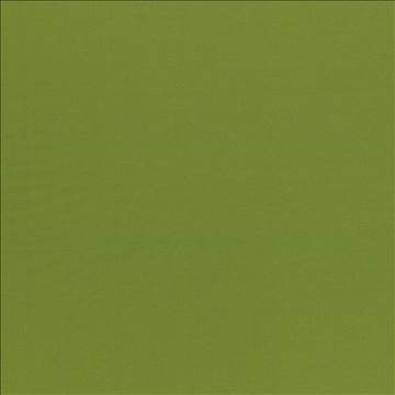 Seductive Olive by Kasmir Designer Fabric 5052 100% Polyester INDIA 6,000 Wyzenbeek Double Rubs H: N/A, V: N/A 53 - Swanky Fabrics - Kasmir