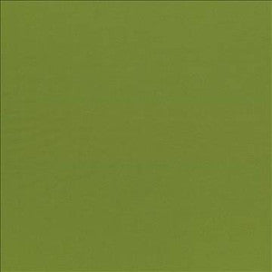 Seductive Olive by Kasmir Designer Fabric