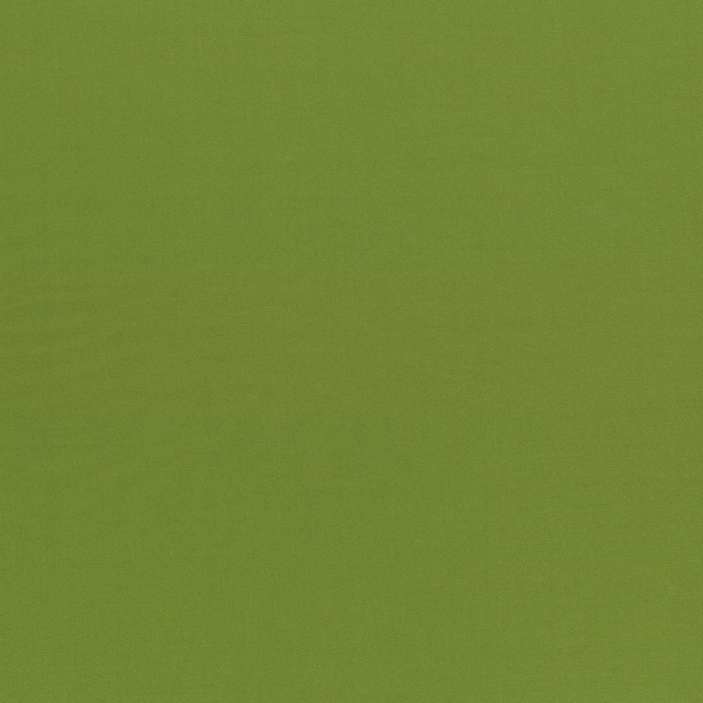Seductive Olive by Kasmir Designer Fabric 5052 100% Polyester
 INDIA </p><p>Repeat: Horizontal: N/A and Vertical: N/A 53 - Swanky Fabrics -
