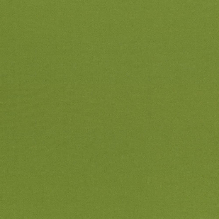 Seductive Olive by Kasmir Designer Fabric 5052 100% Polyester
 INDIA </p><p>Repeat: Horizontal: N/A and Vertical: N/A 53 - Swanky Fabrics -
