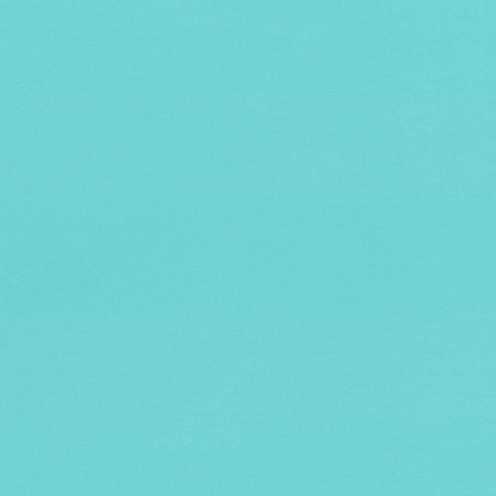 Seductive Paradise  by Kasmir Designer Fabric 5052 100% Polyester
 INDIA 6,000 Wyzenbeek Double Rubs Horizontal: N/A and Vertical: N/A 53  - Swanky Fabrics -