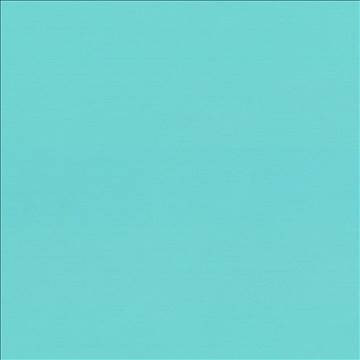 Seductive Paradise by Kasmir Designer Fabric 5052 100% Polyester INDIA 6,000 Wyzenbeek Double Rubs H: N/A, V: N/A 53 - Swanky Fabrics - Kasmir