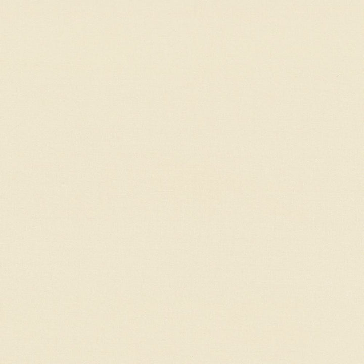 Seductive Straw by Kasmir Designer Fabric 5052 100% Polyester
 INDIA </p><p>Repeat: Horizontal: N/A and Vertical: N/A 53 - Swanky Fabrics -
