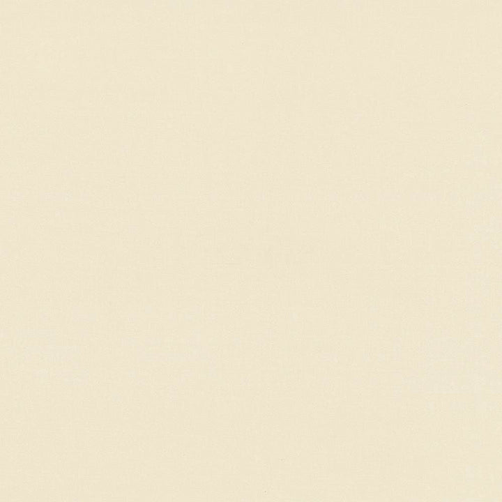 Seductive Straw by Kasmir Designer Fabric See sample 100% Polyester
 INDIA 6,000 Wyzenbeek Double Rubs </p><p>Repeat: Horizontal: N/A and Vertical: N/A 53 - Swanky Fabrics -