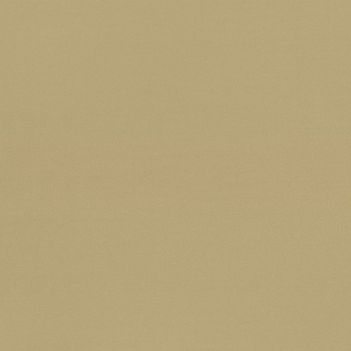Seductive Tan by Kasmir Designer Fabric 5052 100% Polyester
 INDIA </p><p>Repeat: Horizontal: N/A and Vertical: N/A 53 - Swanky Fabrics -