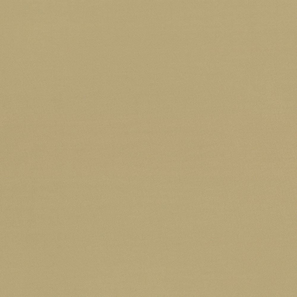 Seductive Tan by Kasmir Designer Fabric 5052 100% Polyester
 INDIA </p><p>Repeat: Horizontal: N/A and Vertical: N/A 53 - Swanky Fabrics -