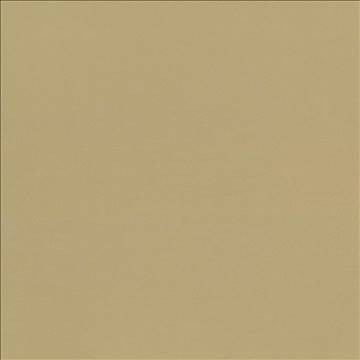 Seductive Tan by Kasmir Designer Fabric 5052 100% Polyester INDIA 6,000 Wyzenbeek Double Rubs H: N/A, V: N/A 53 - Swanky Fabrics - Kasmir