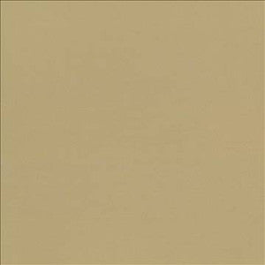 Seductive Tan by Kasmir Designer Fabric