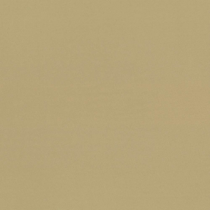 Seductive Tan  by Kasmir Designer Fabric 5052 100% Polyester
 INDIA 6,000 Wyzenbeek Double Rubs Horizontal: N/A and Vertical: N/A 53  - Swanky Fabrics -