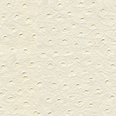 SENNA.101 by Kravet Design Designer Fabric our website for purchase 100% Leather Korea, Republic of Heavy Horizontal: see sample and Vertical: see sample 54 inches - Swanky Fabrics -