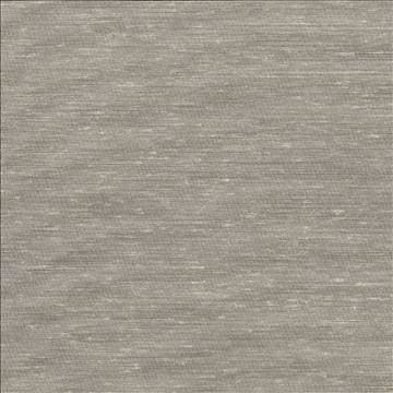 Sh365 Champagne by Kasmir Designer Fabric 1283 100% Polyester USA - H: N/A, V: N/A 118 - Swanky Fabrics - Kasmir