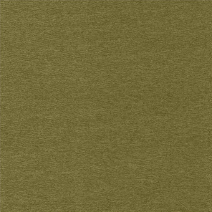 Sheena Avocado by Kasmir Designer Fabric 5159 95% Polyester
5% Nylon
 CHINA </p><p>Repeat: Horizontal: N/A and Vertical: N/A 54 - Swanky Fabrics -
