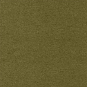 Sheena Avocado by Kasmir Designer Fabric
