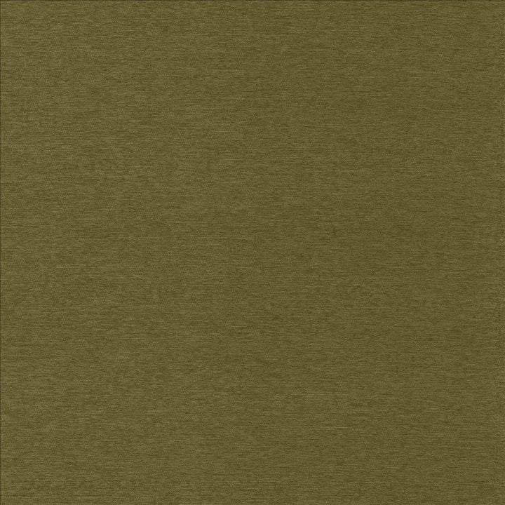Sheena Avocado by Kasmir Designer Fabric See sample 95% Polyester
5% Nylon
 CHINA 50,000 Wyzenbeek Double Rubs </p><p>Repeat: Horizontal: N/A and Vertical: N/A 54 - Swanky Fabrics -