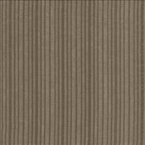 Shy Stripe Grey by Kasmir Designer Fabric