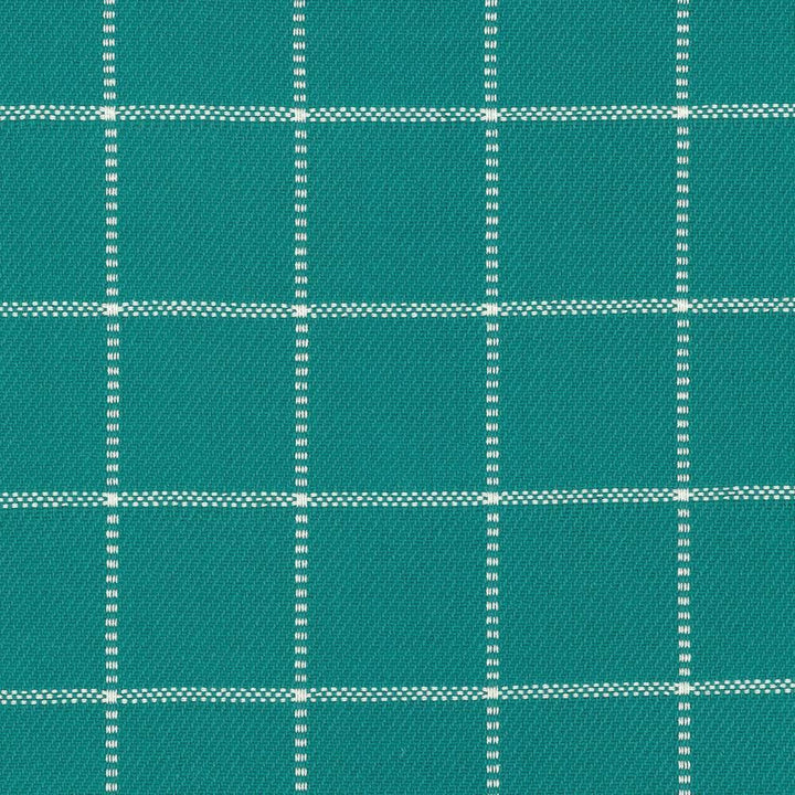 Skylar Check Caribe by Kasmir Designer Fabric See sample 100% Cotton
 INDIA 9,000 Wyzenbeek Double Rubs </p><p>Repeat: Horizontal: 2 2/8 inches and Vertical: 2 2/8 inches 54 - Swanky Fabrics -