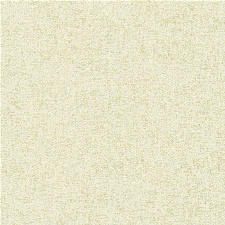 Sojourner Snow by Kasmir Designer Fabric 5171 100% Polyester
 CHINA 50,000 Wyzenbeek Double Rubs </p><p>Repeat: Horizontal: N/A and Vertical: N/A 54 - Swanky Fabrics -
