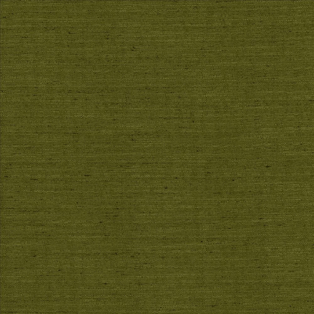 Sotto Avocado by Kasmir Designer Fabric See sample 100% Polyester
 INDIA 30,000 Wyzenbeek Double Rubs </p><p>Repeat: Horizontal: N/A and Vertical: N/A 54 - Swanky Fabrics -