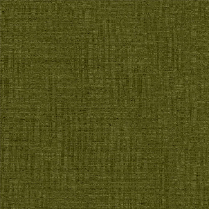 Sotto Avocado by Kasmir Designer Fabric 5126 100% Polyester
 INDIA 30,000 Wyzenbeek Double Rubs </p><p>Repeat: Horizontal: N/A and Vertical: N/A 54 - Swanky Fabrics -