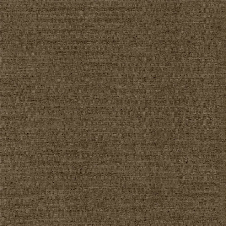 Sotto Cappuccino  by Kasmir Designer Fabric 5126 100% Polyester
 INDIA 30,000 Wyzenbeek Double Rubs Horizontal: N/A and Vertical: N/A 54  - Swanky Fabrics -