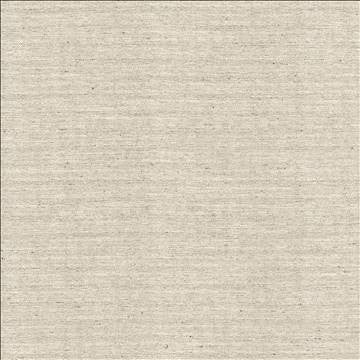Sotto Silver by Kasmir Designer Fabric 5126 100% Polyester INDIA 30,000 Wyzenbeek Double Rubs H: N/A, V: N/A 54 - 55 - Swanky Fabrics - Kasmir