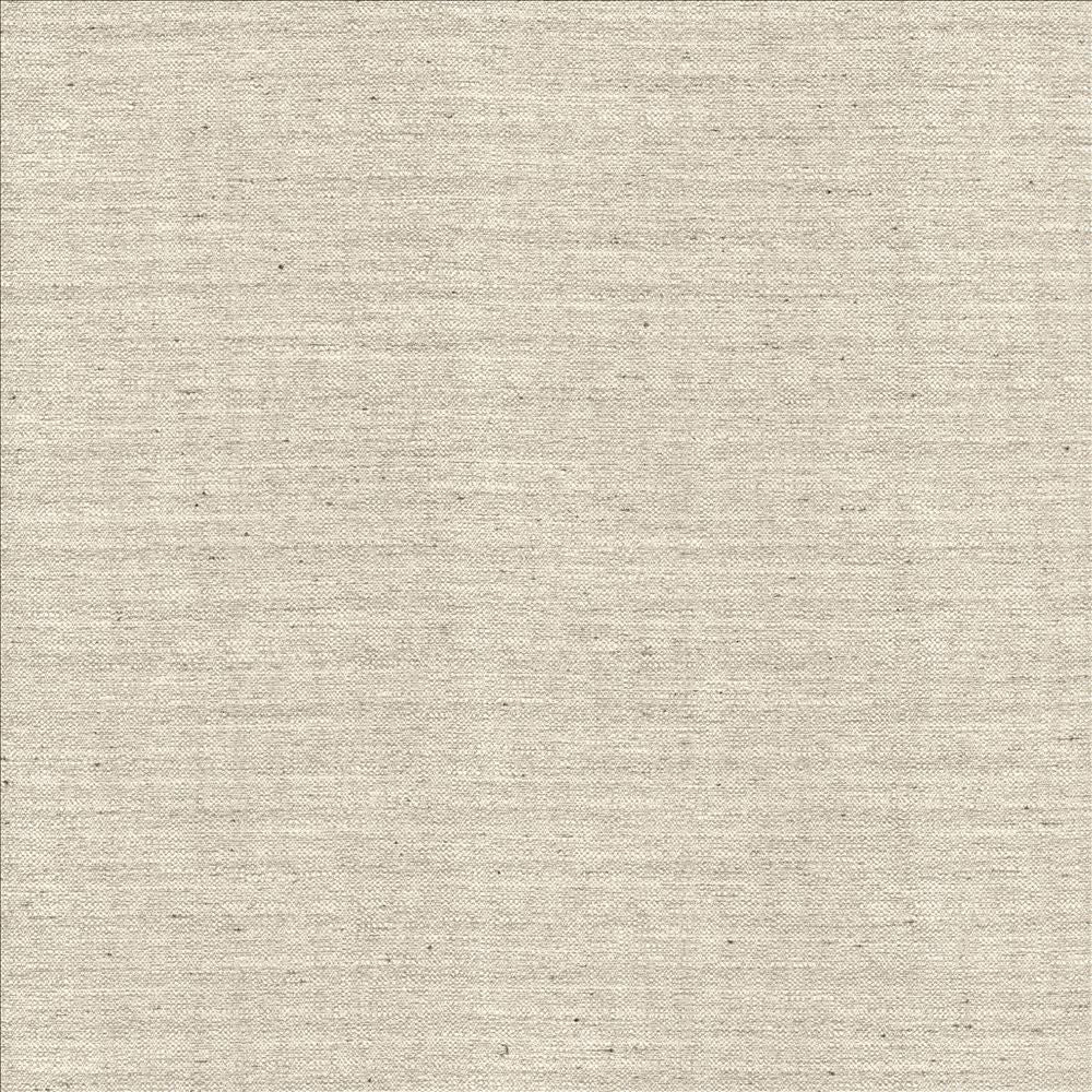 Sotto Silver by Kasmir Designer Fabric 5126 100% Polyester
 INDIA </p><p>Repeat: Horizontal: N/A and Vertical: N/A 54 - 55 - Swanky Fabrics -