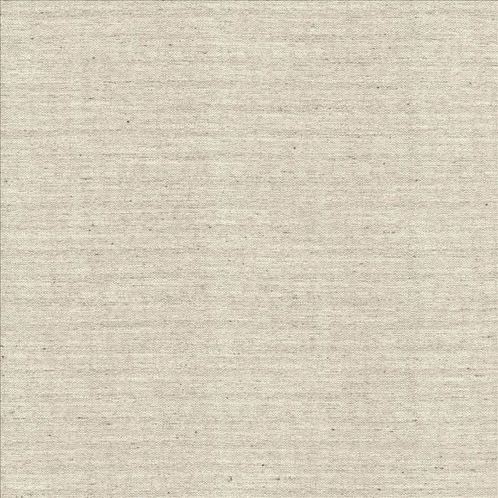 Sotto Silver by Kasmir Designer Fabric 5126 100% Polyester
 INDIA </p><p>Repeat: Horizontal: N/A and Vertical: N/A 54 - 55 - Swanky Fabrics -