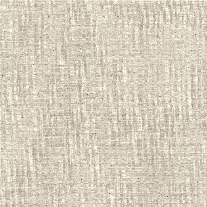 Sotto Silver by Kasmir Designer Fabric 5126 100% Polyester INDIA 30,000 Wyzenbeek Double Rubs Horizontal: 0 Inches and Vertical: 0 Inches 54 - 55 - Swanky Fabrics -