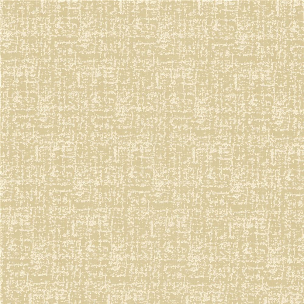Spackle Sand Dollar by Kasmir Designer Fabric 5110 100% Polyester INDIA 20,000 Wyzenbeek Double Rubs Horizontal: 0 Inches and Vertical: 0 Inches 54 - 55 - Swanky Fabrics -