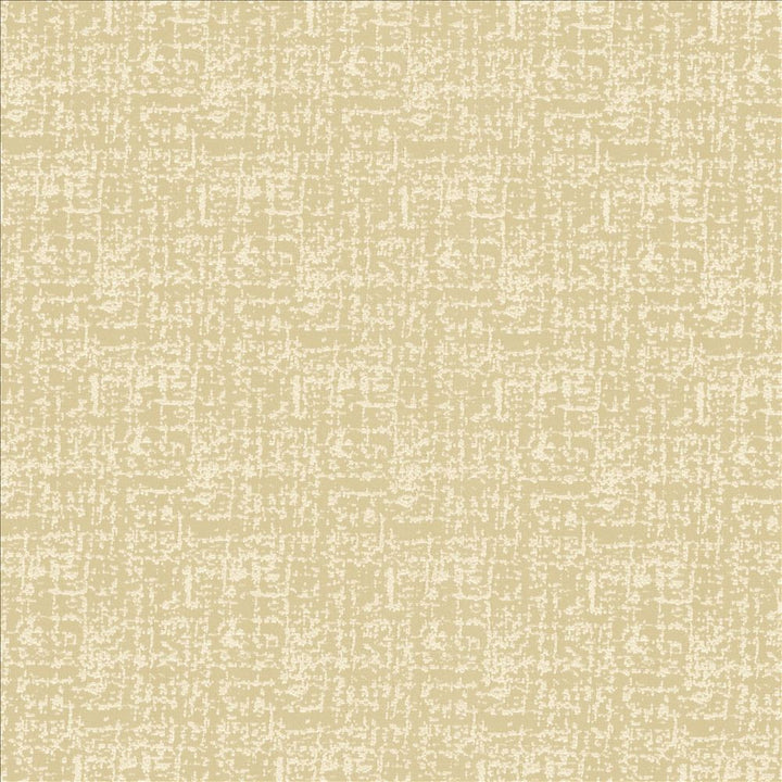 Spackle Sand Dollar by Kasmir Designer Fabric 5110 100% Polyester INDIA 20,000 Wyzenbeek Double Rubs Horizontal: 0 Inches and Vertical: 0 Inches 54 - 55 - Swanky Fabrics -