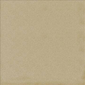 Spontaneity Cedar by Kasmir Designer Fabric 5092 100% Polyester INDIA 30,000 Wyzenbeek Double Rubs H: N/A, V: N/A 54 - 55 - Swanky Fabrics - Kasmir