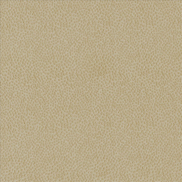Spontaneity Cedar by Kasmir Designer Fabric See sample 100% Polyester
 INDIA 30,000 Wyzenbeek Double Rubs </p><p>Repeat: Horizontal: N/A and Vertical: N/A 54 - Swanky Fabrics -