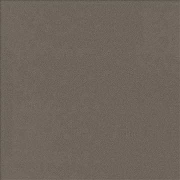 Spontaneity Cocoa by Kasmir Designer Fabric 5092 100% Polyester INDIA 30,000 Wyzenbeek Double Rubs H: N/A, V: N/A 54 - 55 - Swanky Fabrics - Kasmir