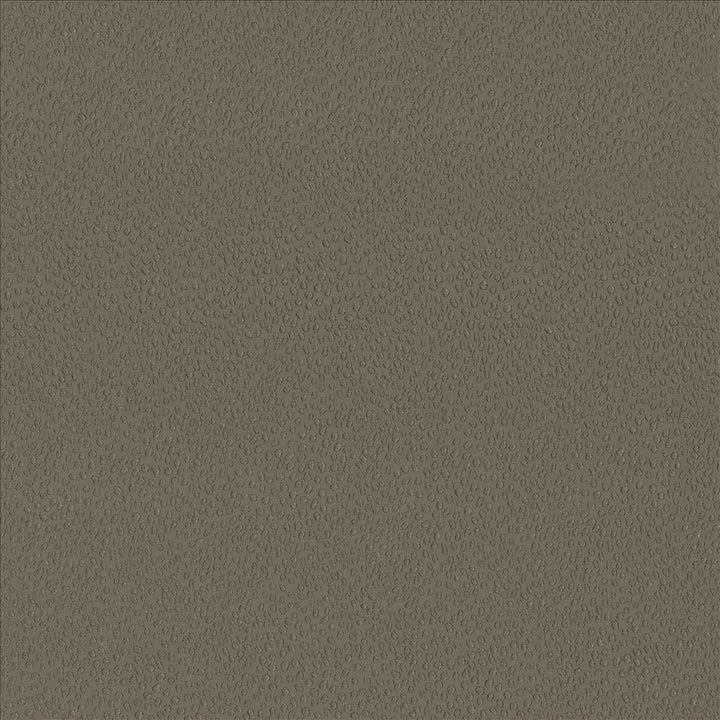 Spontaneity Cocoa by Kasmir Designer Fabric 5092 100% Polyester INDIA 30,000 Wyzenbeek Double Rubs Horizontal: 0 Inches and Vertical: 0 Inches 54 - 55 - Swanky Fabrics -